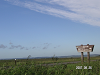 s_PICT0088_thumb.png